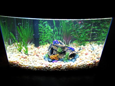 modern fish tank aquarium